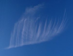 nube con forma de pluma