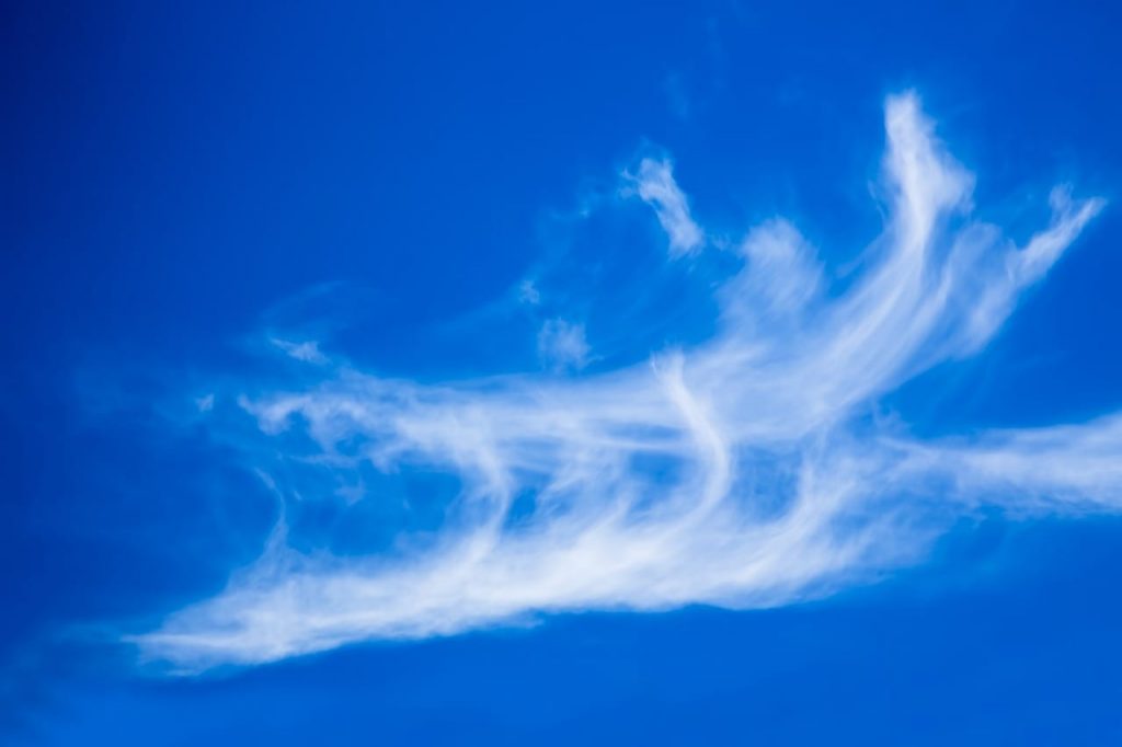 Nubes con formas de plumas unidas entre sí