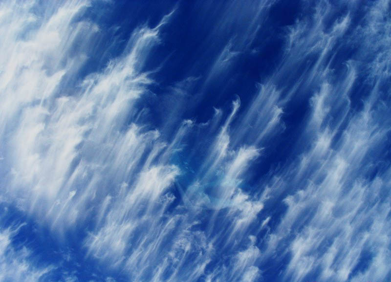 Nubes con forma de plumas y campo de cereales